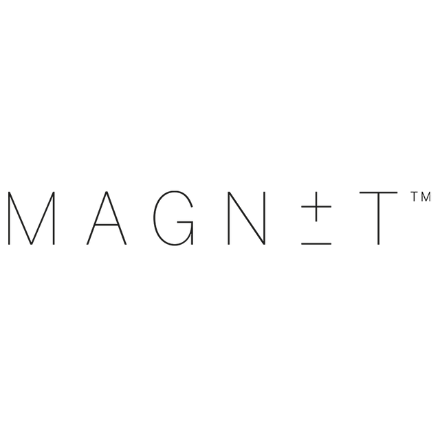 Magnet