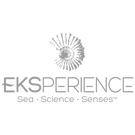 Eksperience