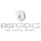Eksperience