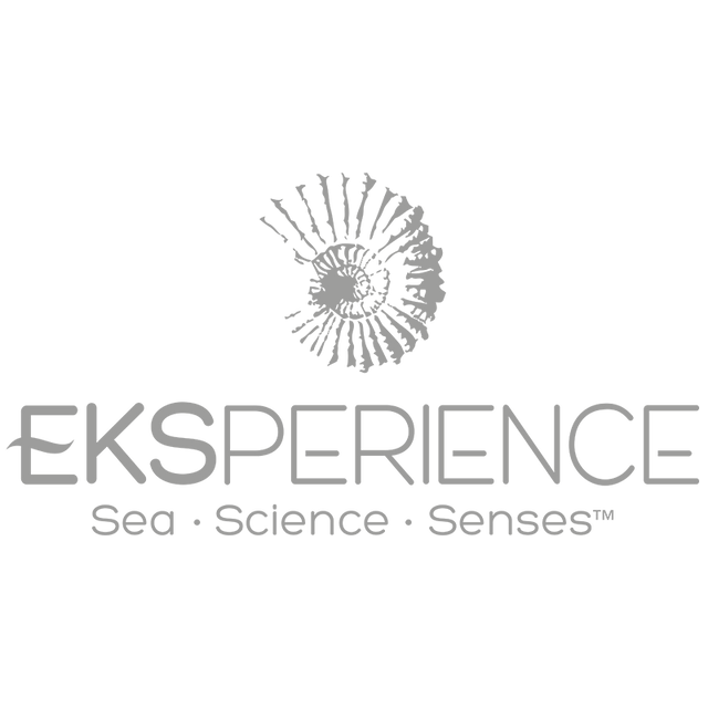 Eksperience